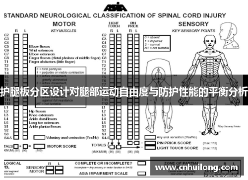 护腿板分区设计对腿部运动自由度与防护性能的平衡分析
